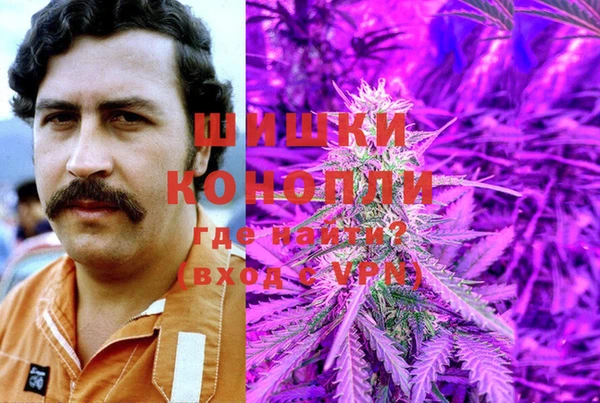 амф Арсеньев