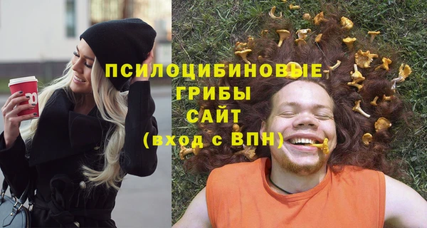 амф Арсеньев