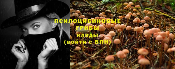 амф Арсеньев